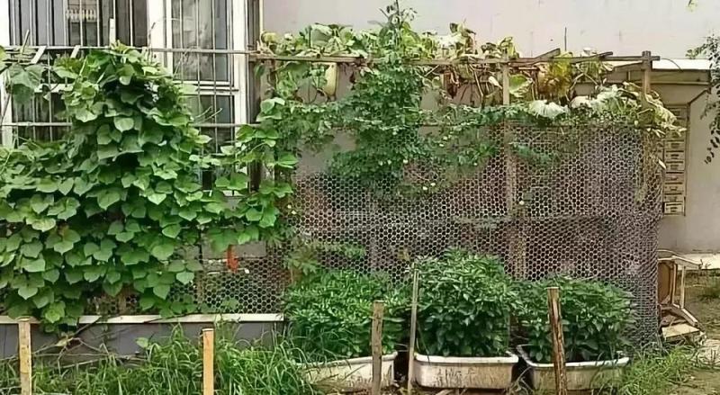 微信图片_20190813152655.jpg