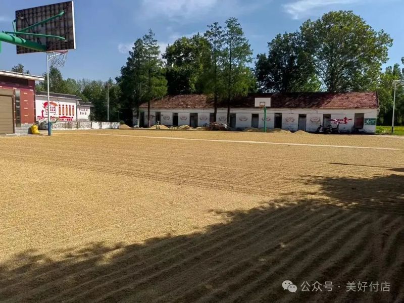 微信图片_20250825103857.jpg